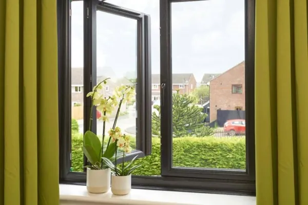 Black Windows Gallery 2