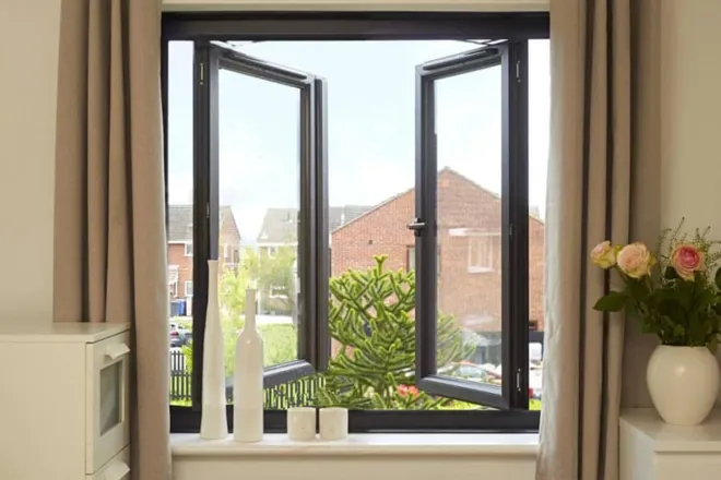 Black Windows Gallery 3